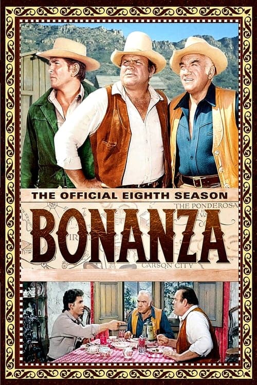 Bonanza Vider