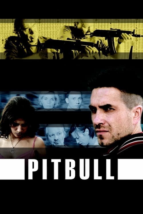 Pitbull 2005 [PL] Vider HDRip