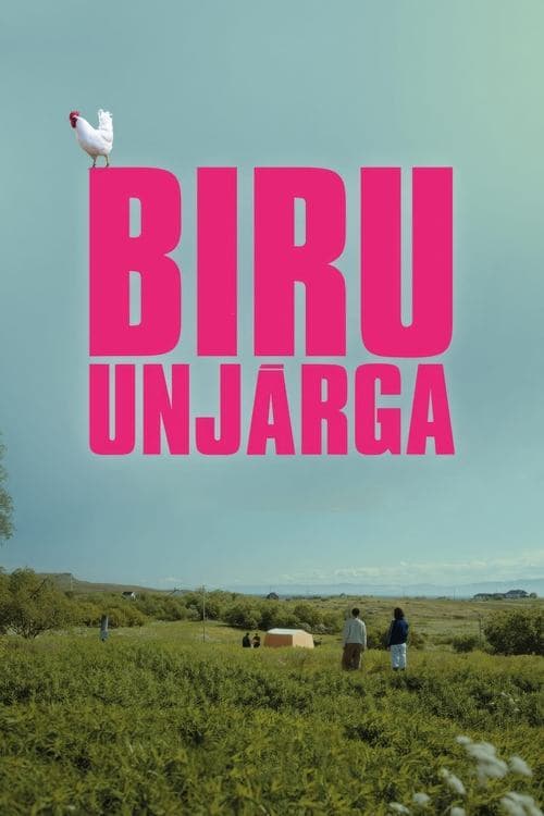 Biru Unjárga Vider