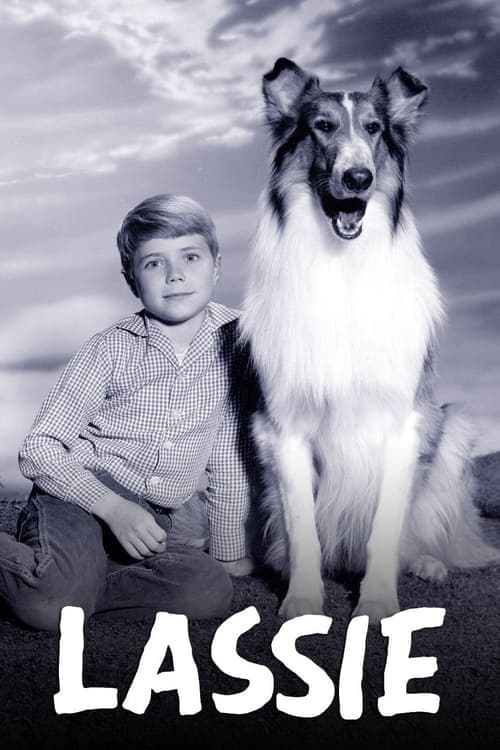 Lassie 1954 [PL] Vider HDRip