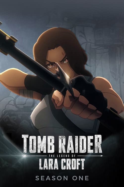 Tomb Raider: Legenda Lary Croft Vider