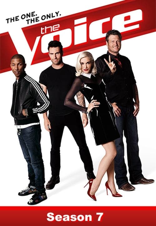 The Voice Vider