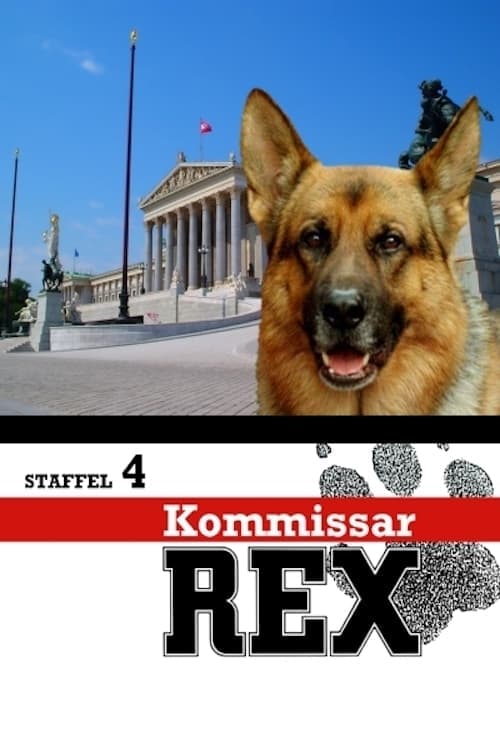 Komisarz Rex Vider