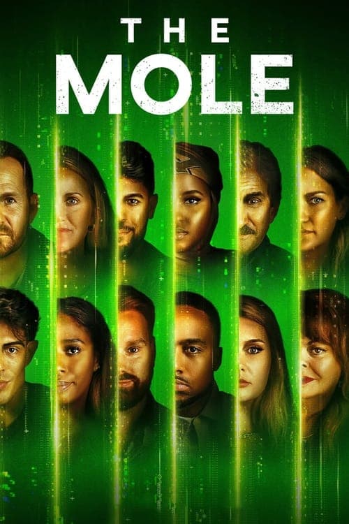 The Mole Vider