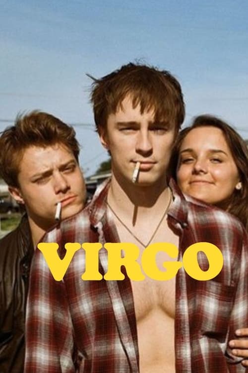 VIRGO Vider