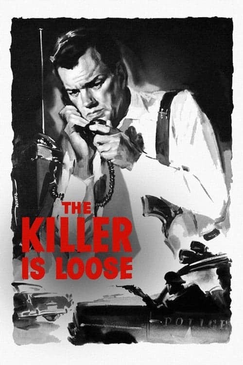 The Killer Is Loose Vider