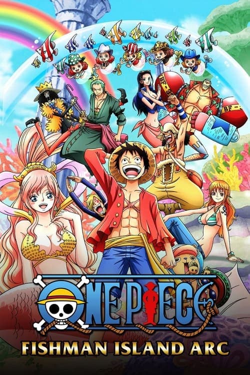 One Piece Vider