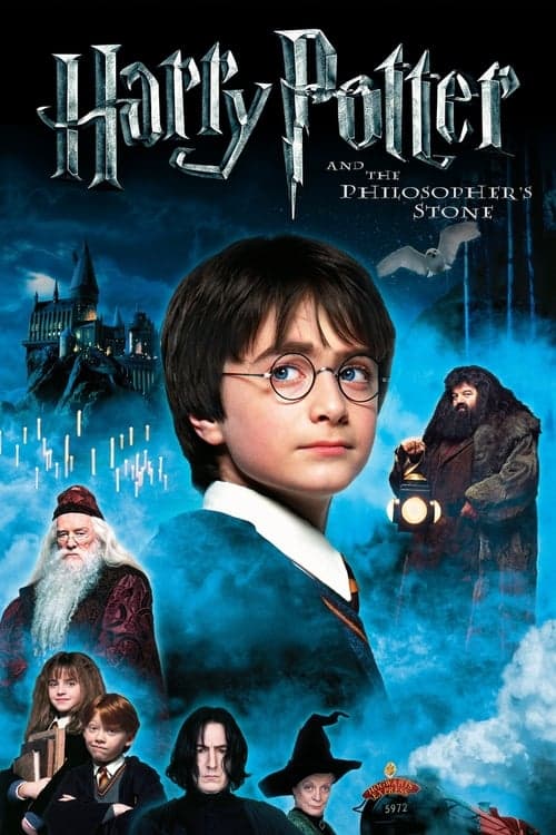 Harry Potter i Kamień Filozoficzny Vider