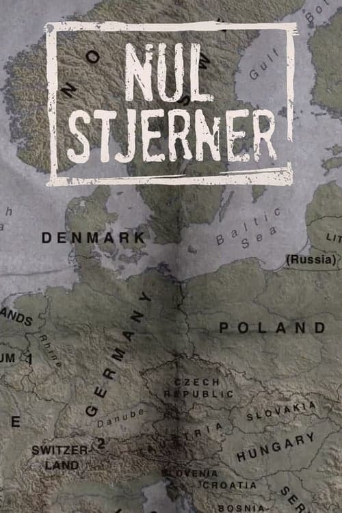 Nul stjerner 2019 [PL] Vider HDRip