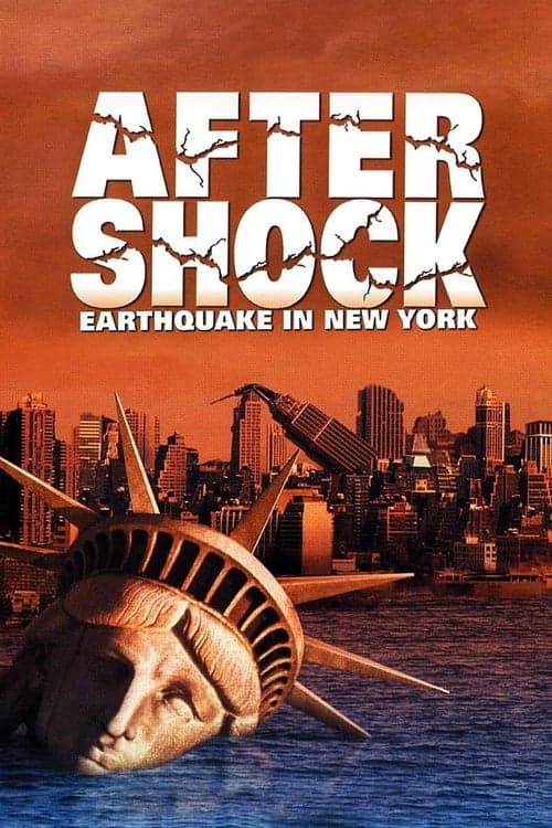 Aftershock: Earthquake in New York 1999 [PL] Vider HDRip