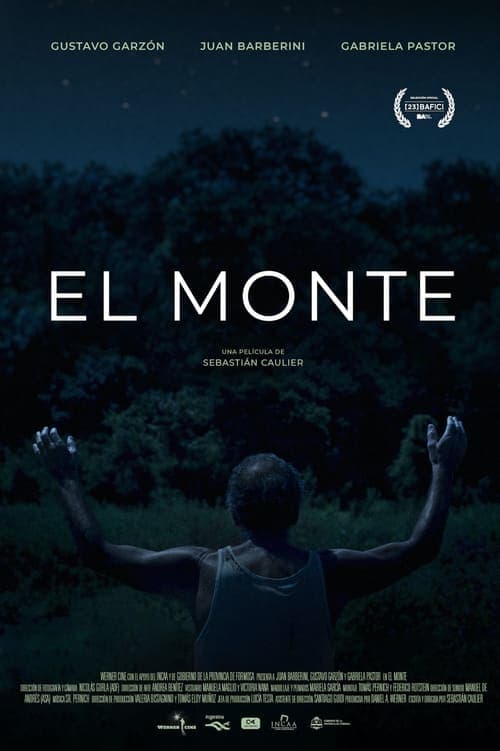 El monte Vider