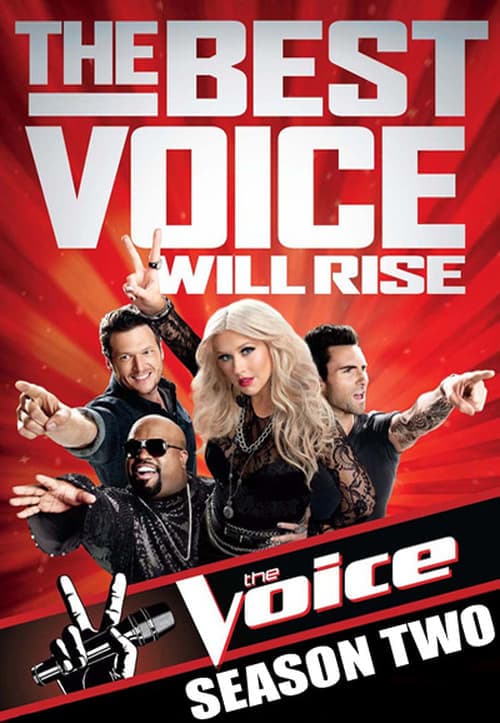 The Voice Vider