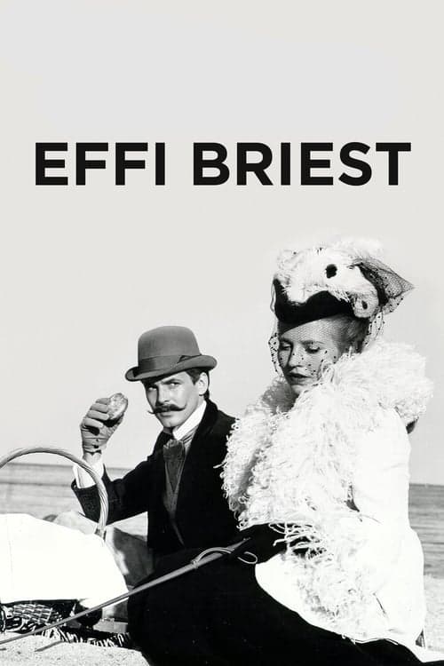 Fontane Effi Briest Vider