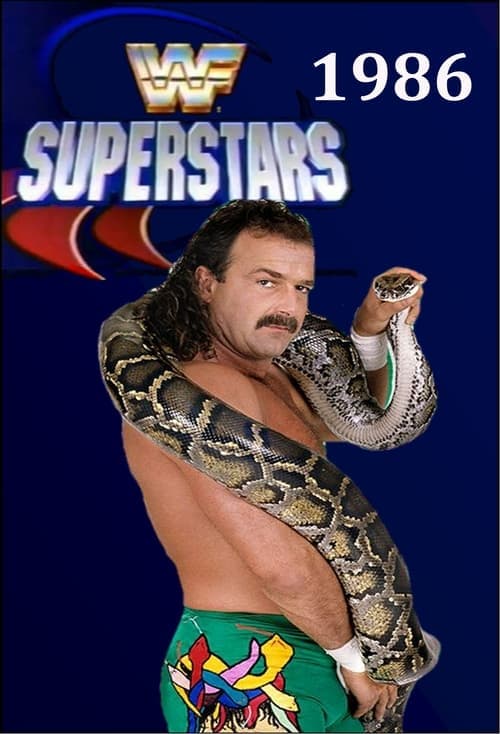 WWF Superstars Of Wrestling Vider