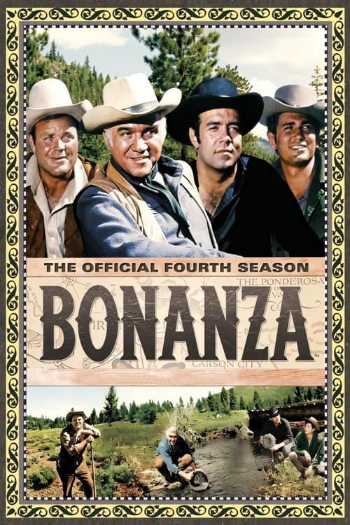 Bonanza Vider