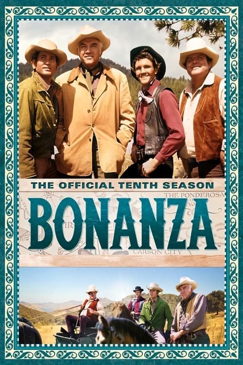 Bonanza Vider