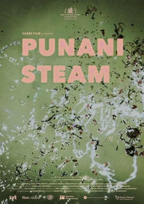 Punani Steam Vider