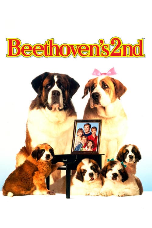 Beethoven 2 Vider